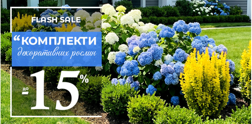 Декоративні кущі комплекти