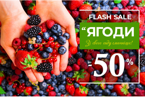 Плодові кущі з розплідника — знижки до -50%