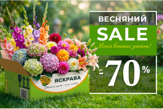 ФІНАЛЬНИЙ РОЗПРОДАЖ  - до -70%