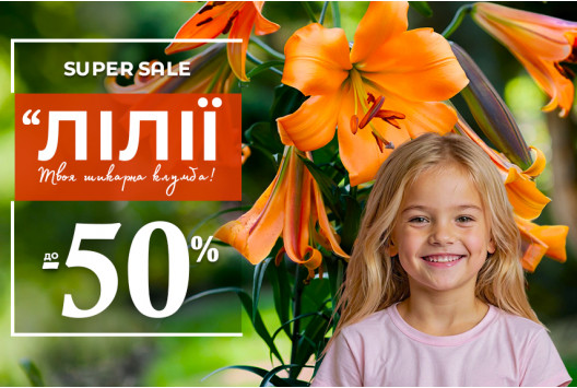 Лілії -50%: Час посадити красу!
