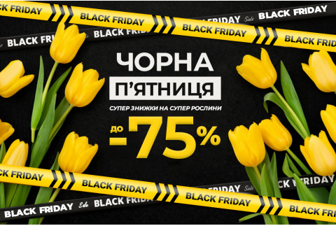 Чорна П’ятниця — Знижки до -75%