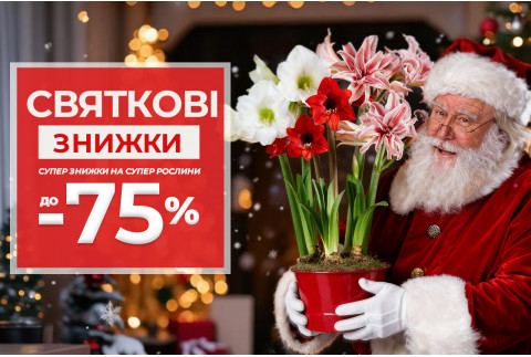 Святкові ціни на осінні цибулини — до -75%!