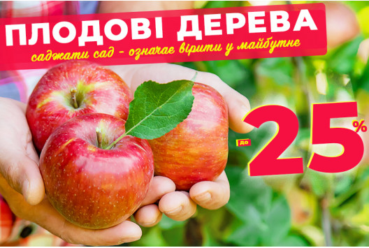 Саджанці плодових дерев до -25%