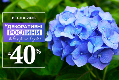 Декор вашого саду — знижки до 40%