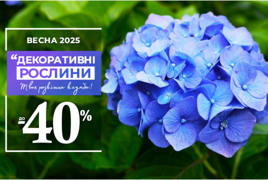 Декор вашого саду — знижки до 40%