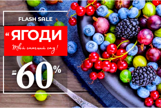 Врожайні кущі зі знижками до -60%