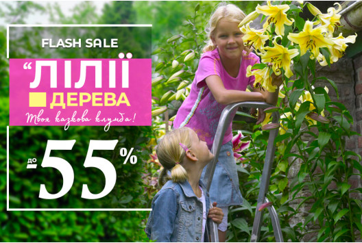 Гігантський Sale на Лілії
