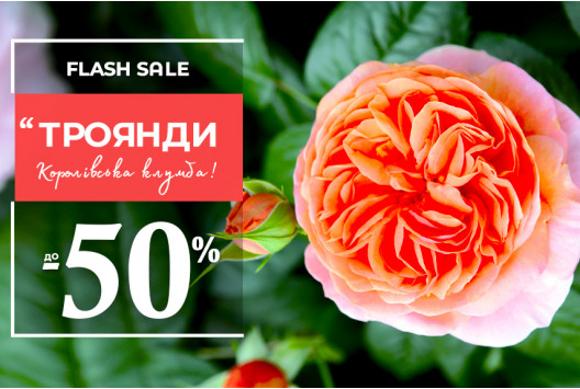 Квіткова осінь зі знижками