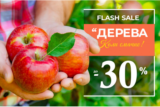 Саджанці плодових дерев зі знижками