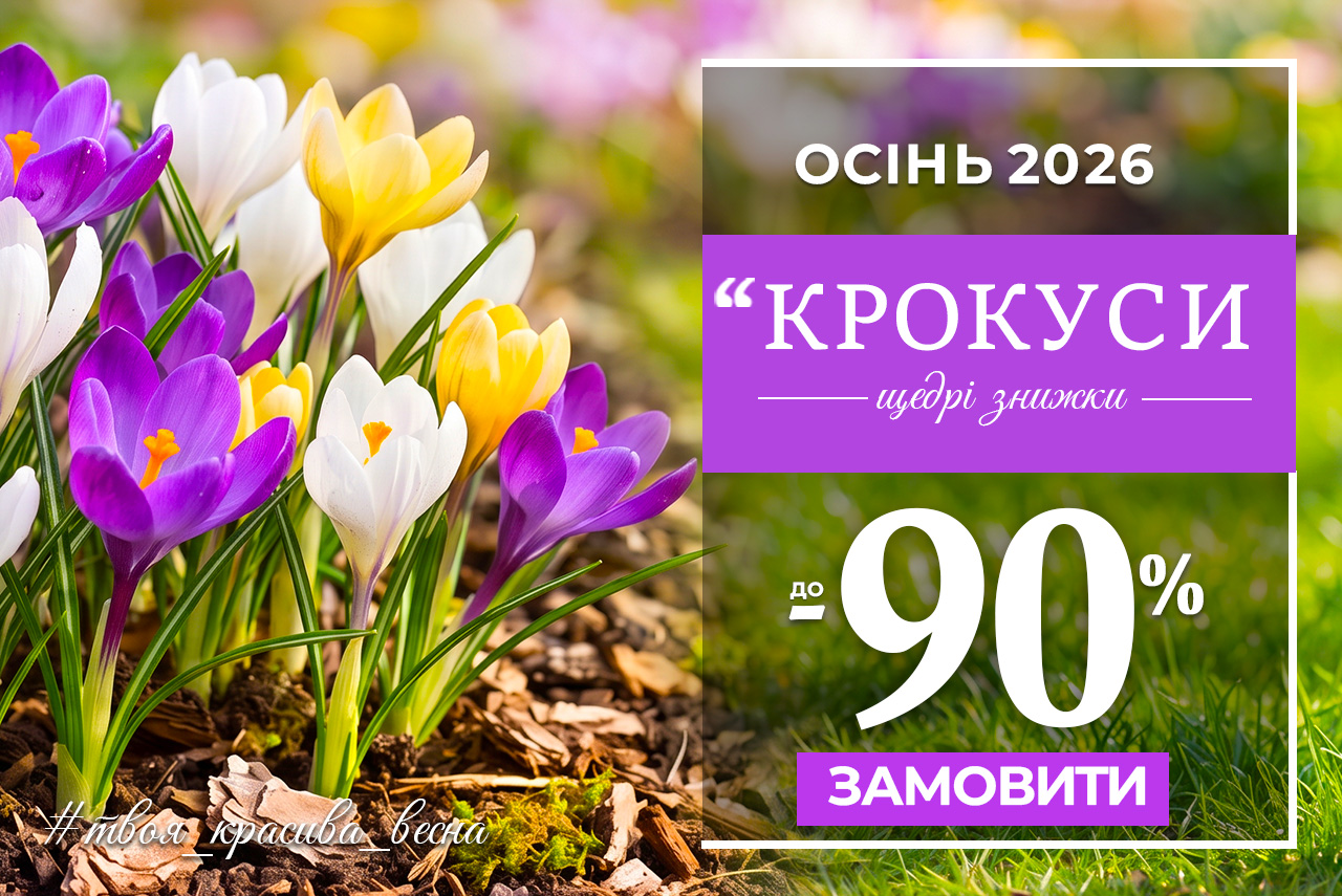 Крокусы — скидки до 90%!