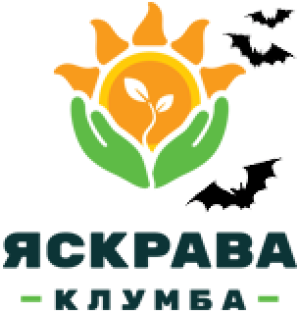 Яскрава Клумба