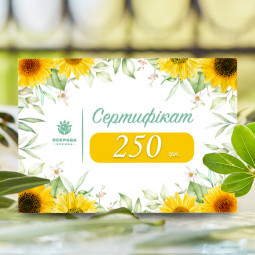 Подарунковий сертифікат на 250 грн.