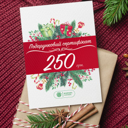 Подарунковий сертифікат на 250 грн.