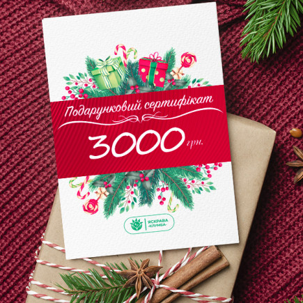 Подарунковий сертифікат на 3000 грн
