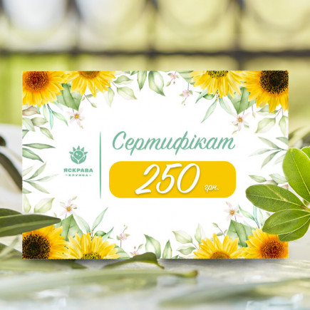 Подарунковий сертифікат на 250 грн.