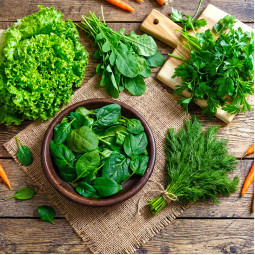 Комплект насіння Зелень без зупину