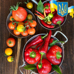 Комплект насіння Бандерівський
