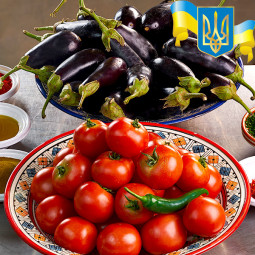 Комплект насіння Криївка