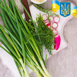 Комплект насіння Партизанський набір