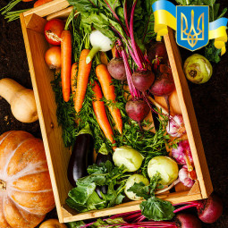 Комплект насіння Сита родина