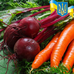 Комплект насіння Сита родина
