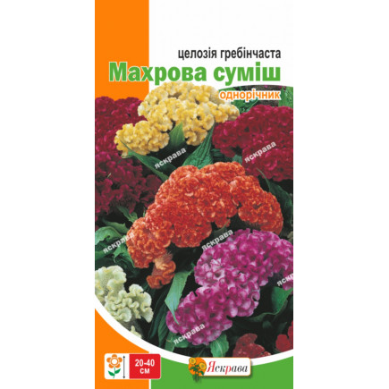 Целозія гребінчаста Махрова суміш 0.3 г