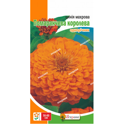 Цинния махровая Оранжевая королева 0.5 г