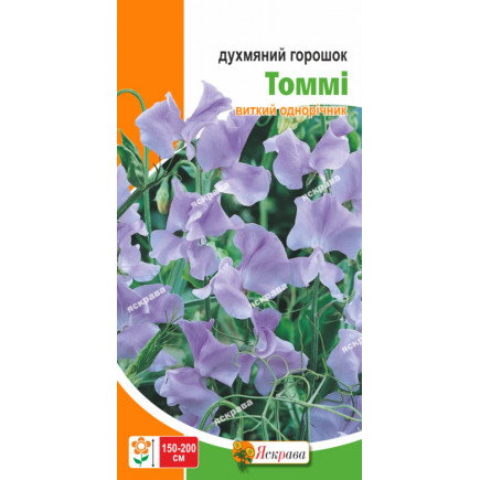 Горошек Душистый Томми 1.0 г