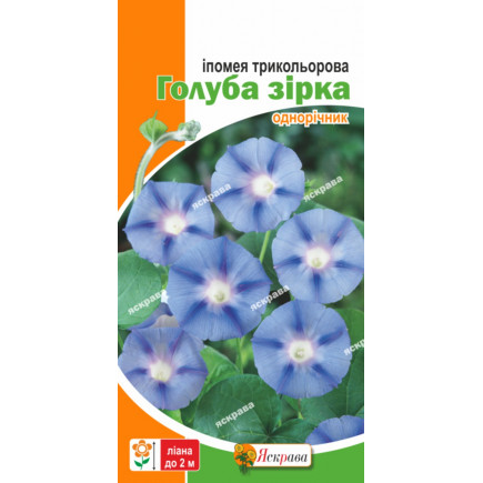 Іпомея Блакитна Зірка 1.0 г
