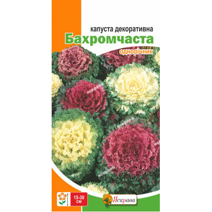 Капуста декоративна Оторочена 0.2 г