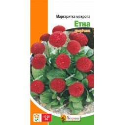 Маргаритка махрова Етна 0.3 г