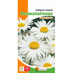 Ромашка садова великоквіткова біла багаторічна 0.5 г
