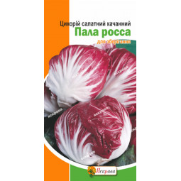 Цикорій качанний Пала Росса 1 г