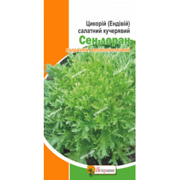 Цикорій салатний Сен-Лоран 1 г (Італія)