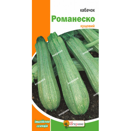 Кабачок Романеско (Італія) 3 г