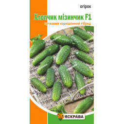Огірок Хлопчик-мізинчик F1 0.5 г