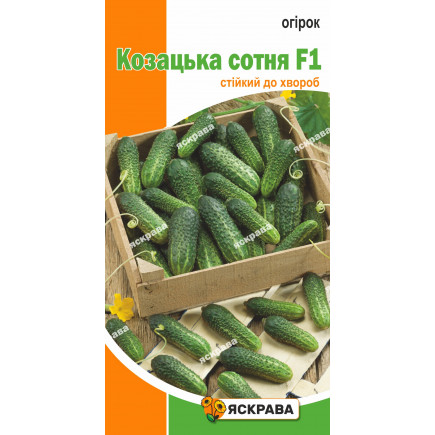 Огірок Козацька сотня F1 0.5 г