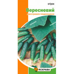 Огірок Вересневий 1.0 г