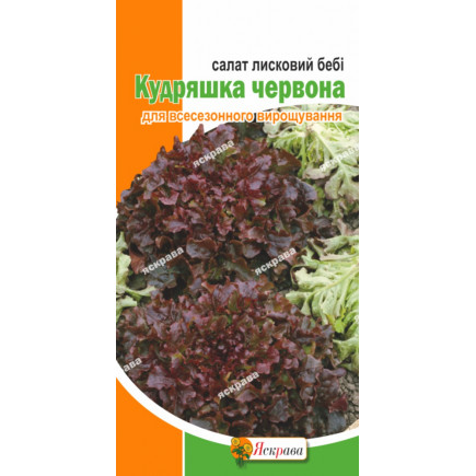 Салат бебі Кудряшка червона 1г