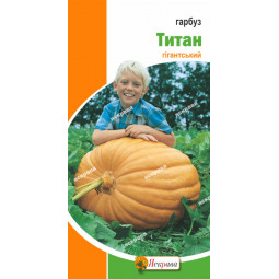 Гарбуз Титан 3 г