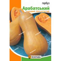 Гарбуз Арабатський 20 г