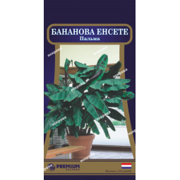 Пальма Бананова Енсете (5 насінин)