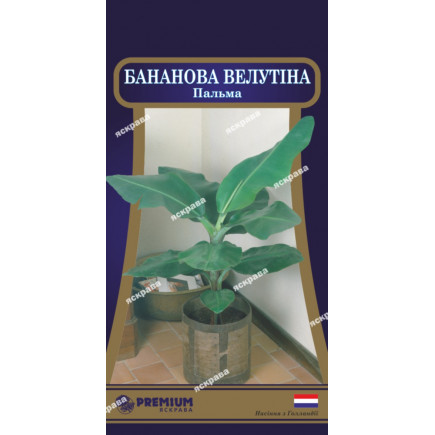 Пальма Бананова Велутіна (5 насінин)