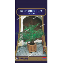 Пальма Королевська (5 насінин)