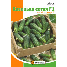 Огурец Казацкая сотня F1 2.5 г