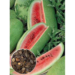 Кавун Чарльстон Грей (насіння) 100 г