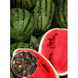 Кавун Кримсон Світ (насіння) 100 г