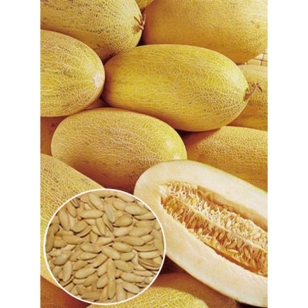 Диня Медова (насіння) 100 г