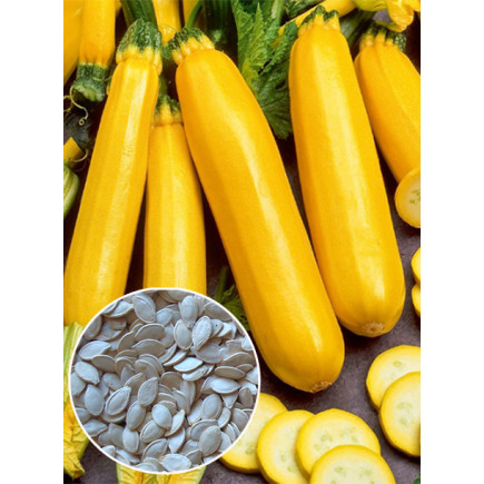 Кабачок жовтий Золотинка (насіння) 100 г
