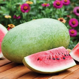 Кавун Чарлстон Грей (насіння) 50 г